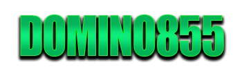 Logo DOMINO855